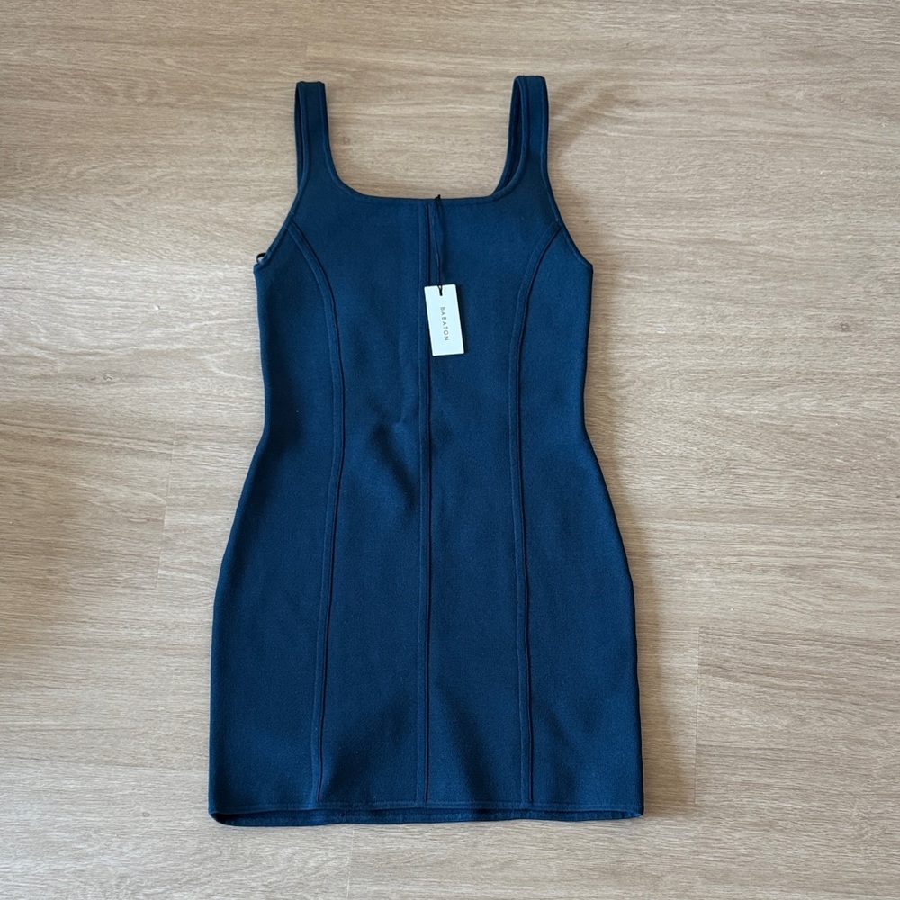 NWT Babaton Sculpt Knit Bustier Dress